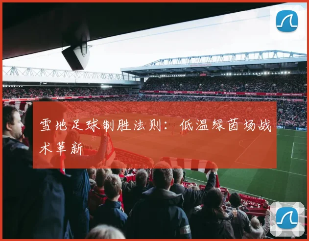 雪地足球制胜法则：低温绿茵场战术革新